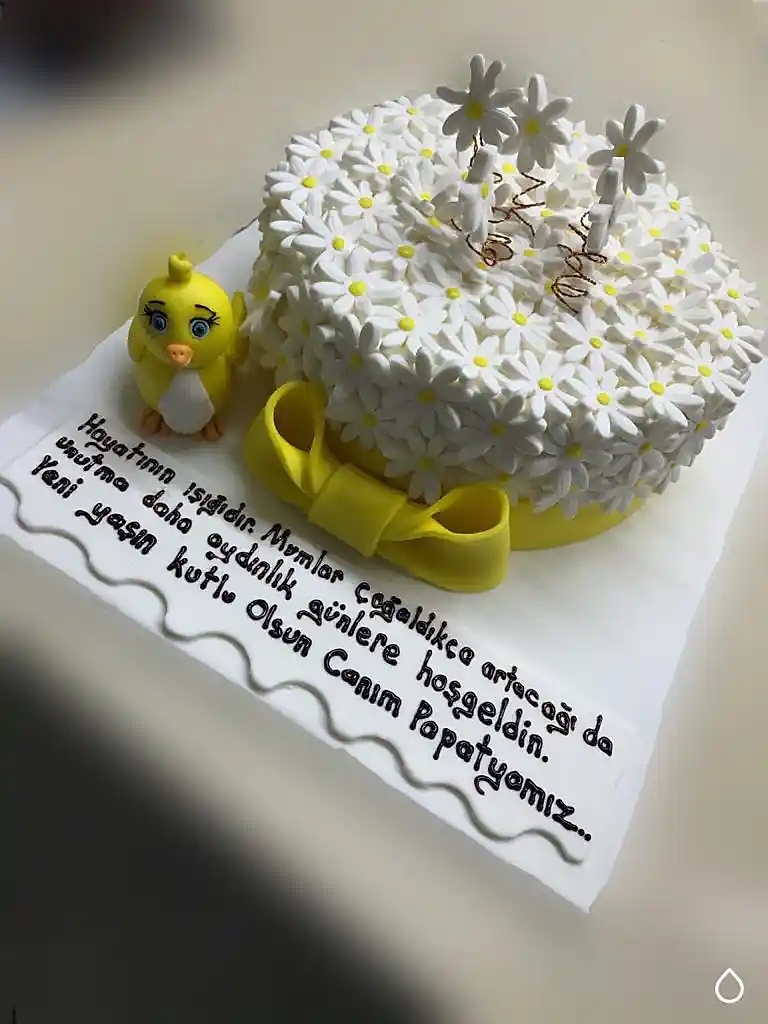 Doğum Gününe Özel Sipariş Pastalar